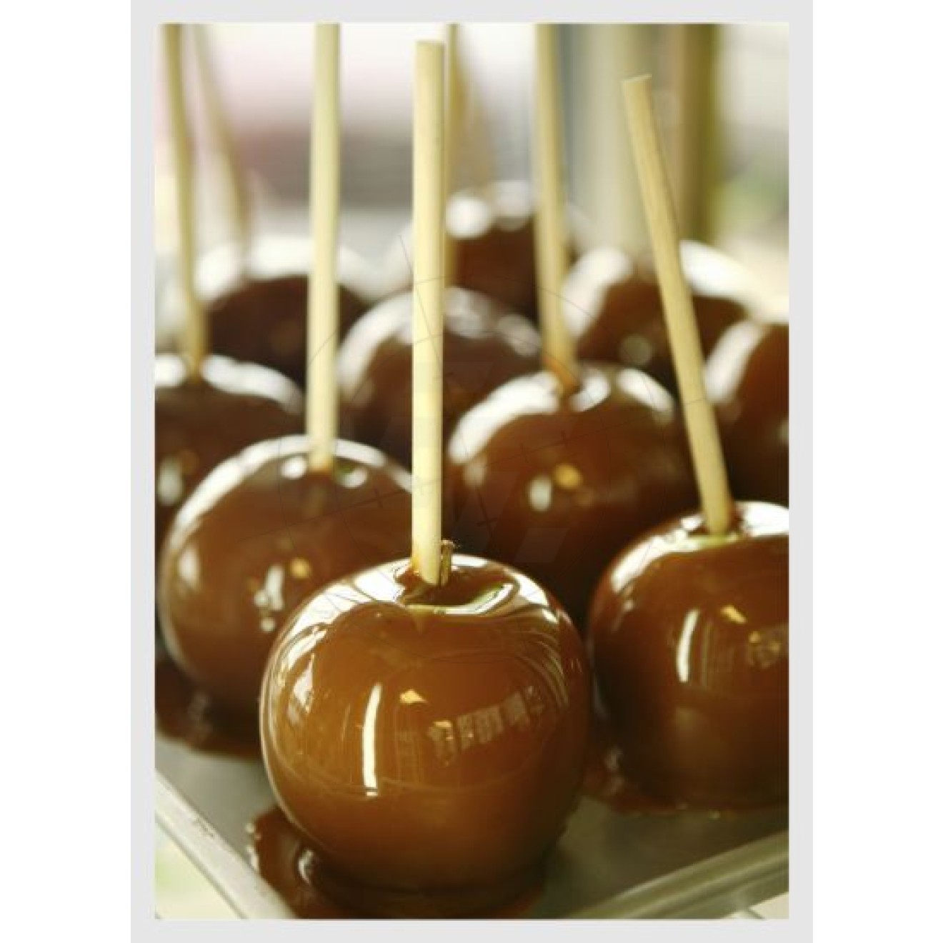 candied apples with chocolate