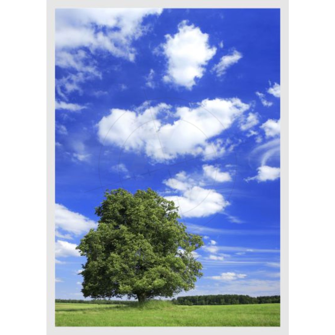 Tree with clouds