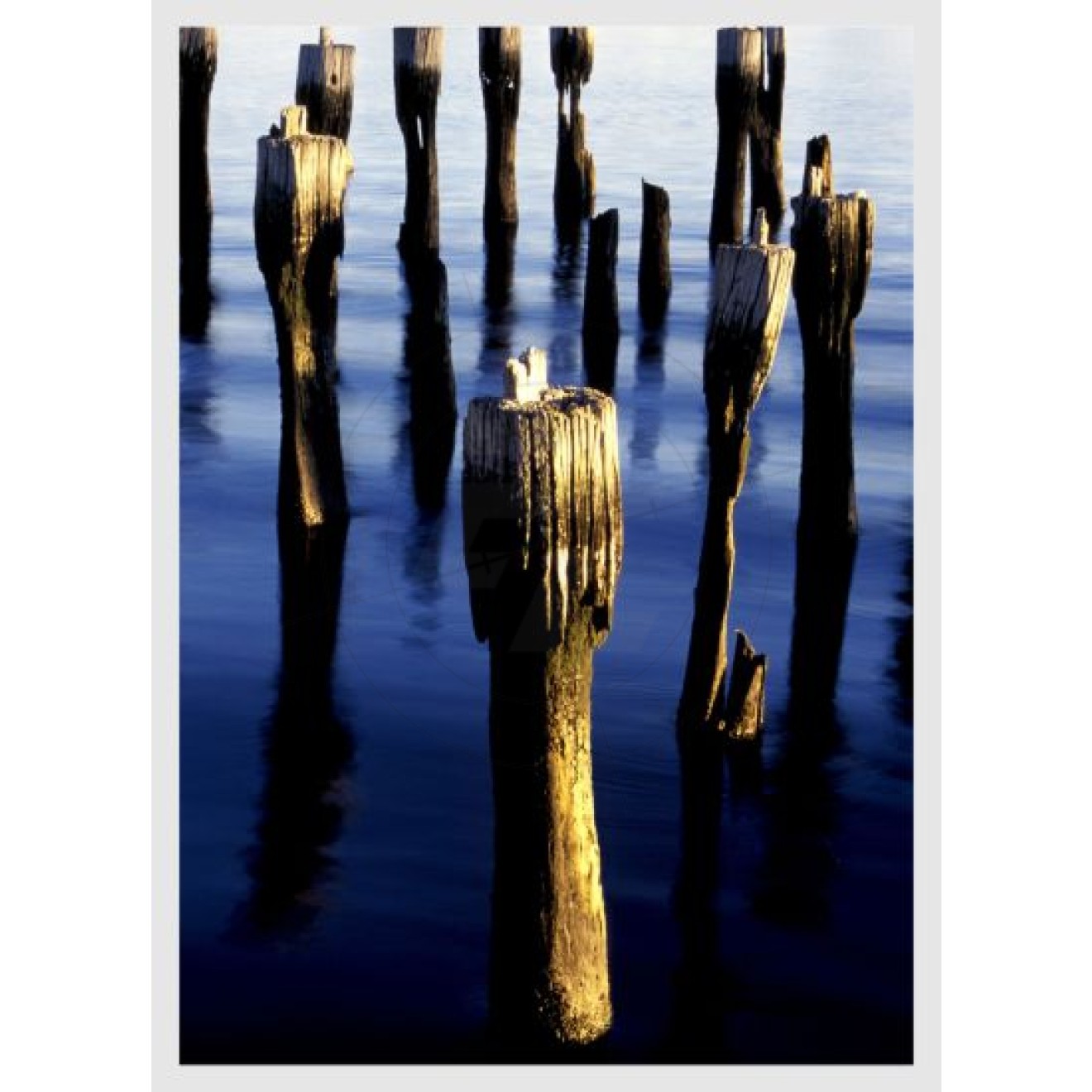 Posts in the water