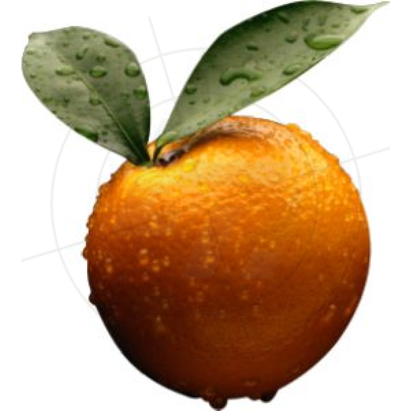 Aufkleber Orange mit Blättern