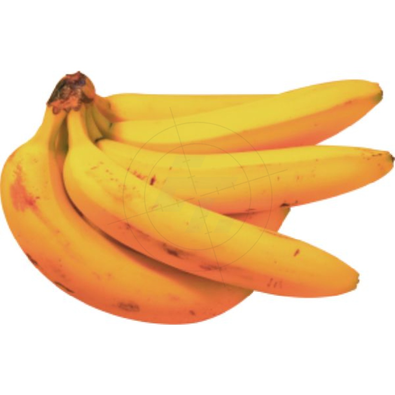 Aufkleber Bananen