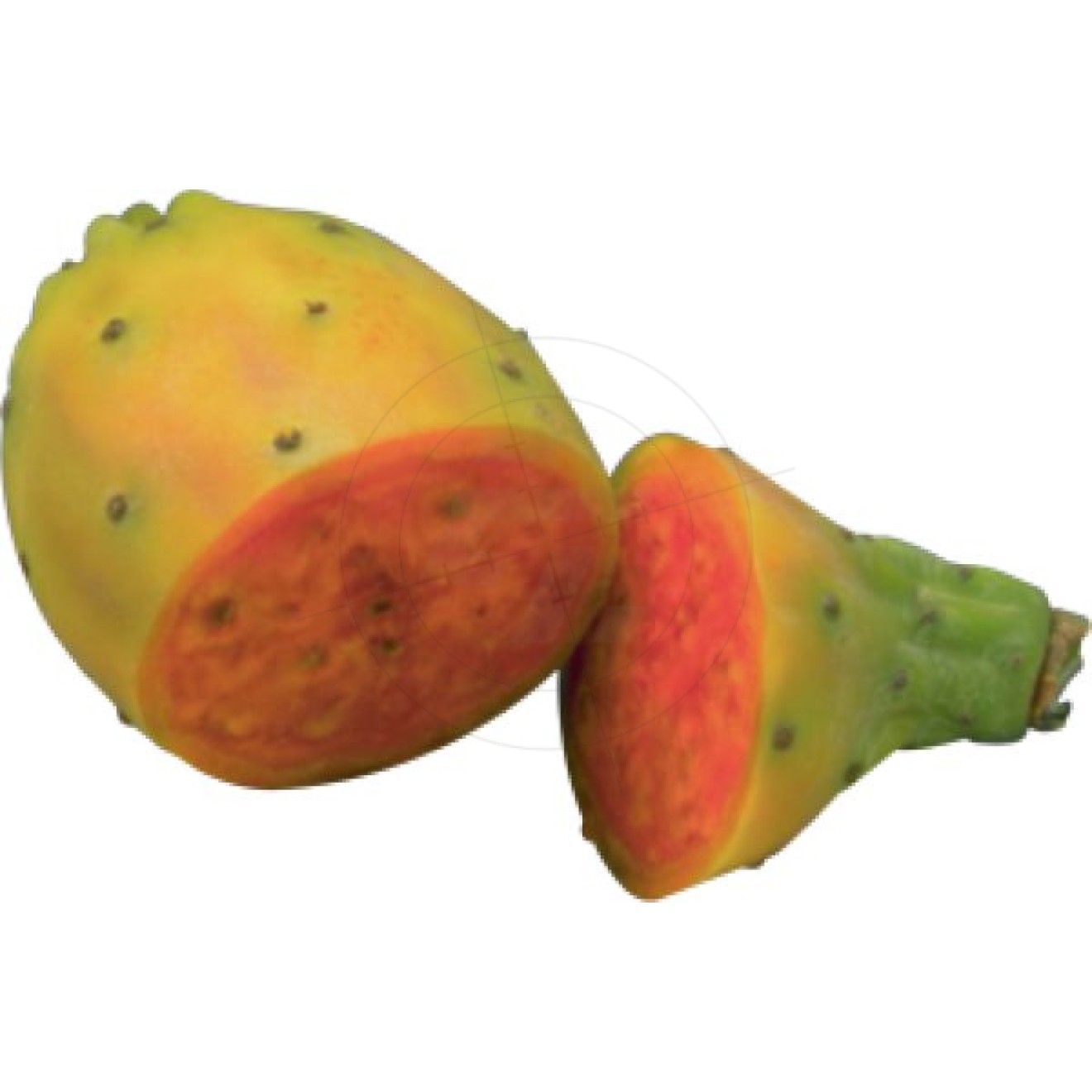 Aufkleber Papaya