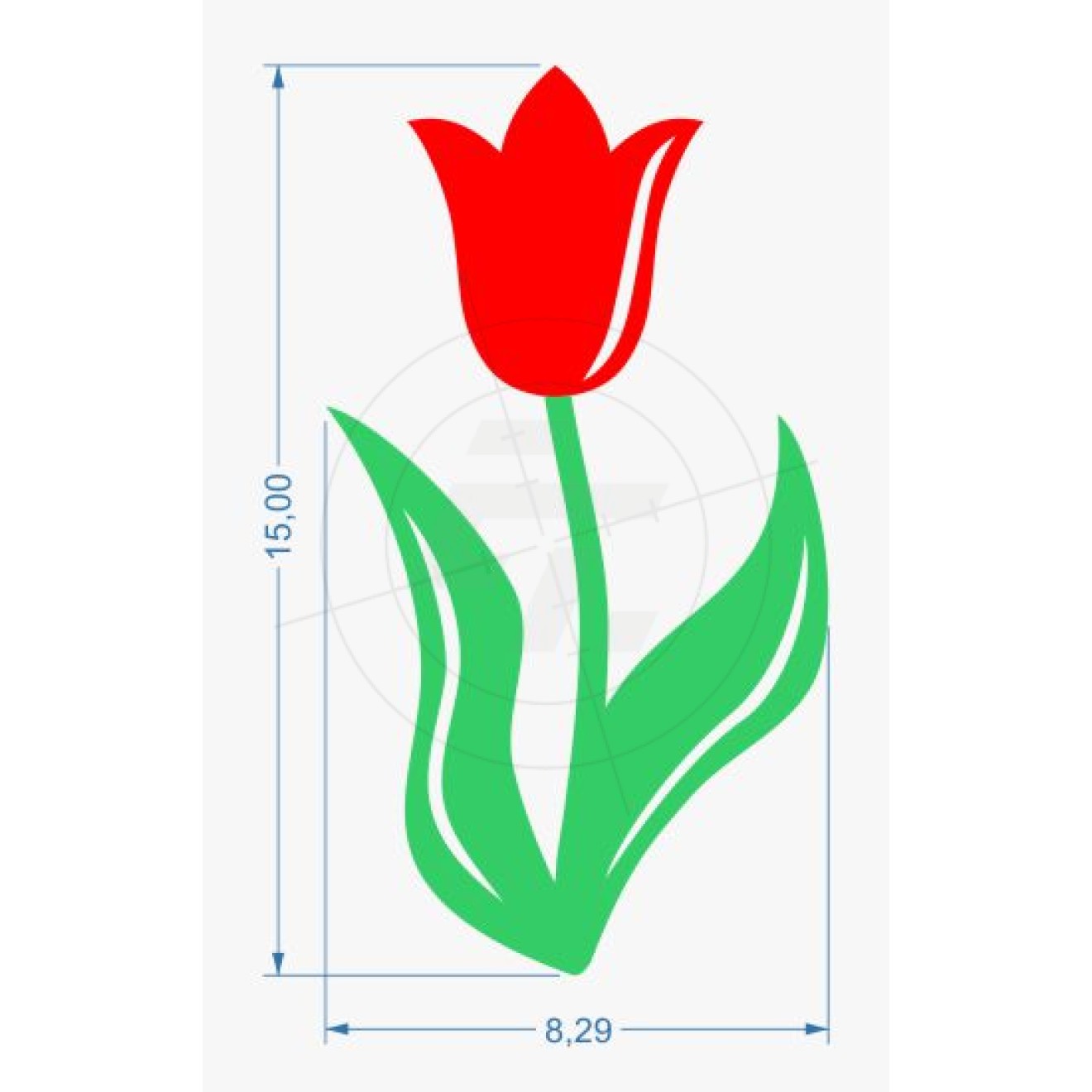 tulip with stem