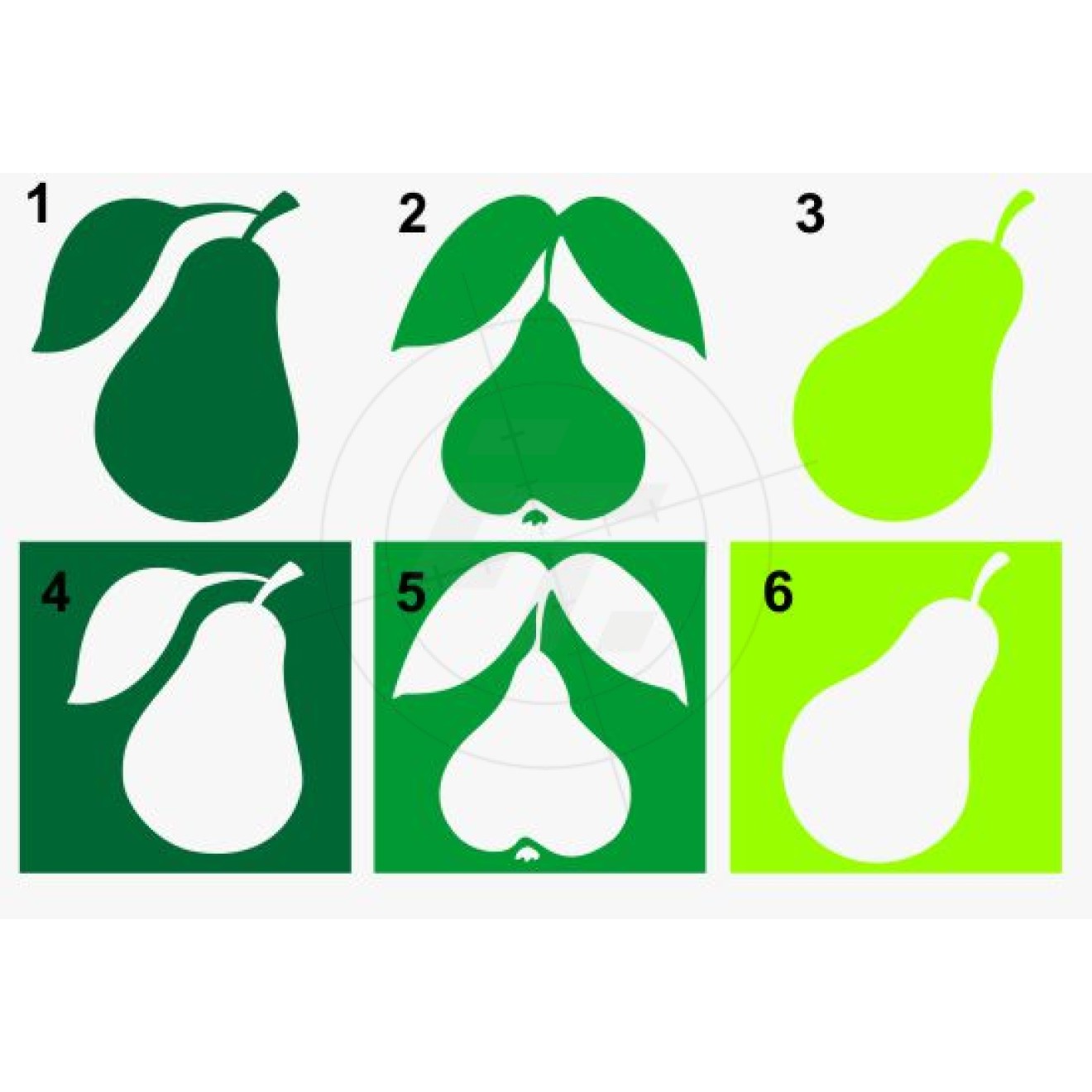Pear with stem and one or two leaves