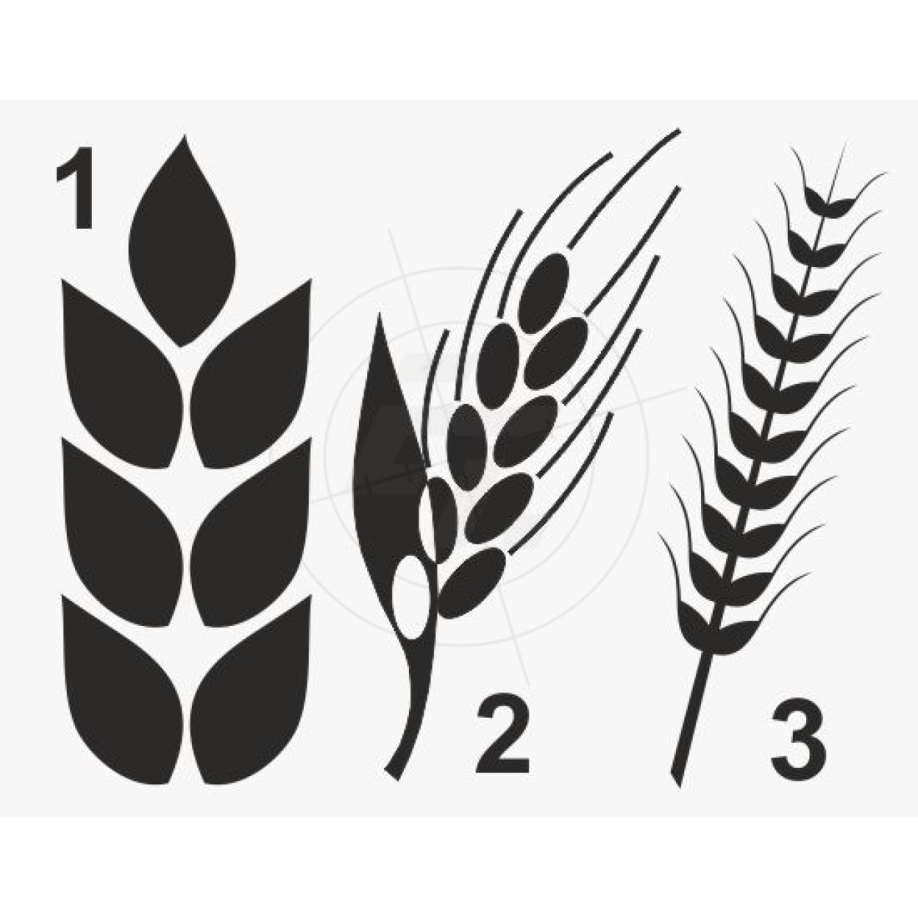 Getreideähren, Roggen, Gerste, Weizen