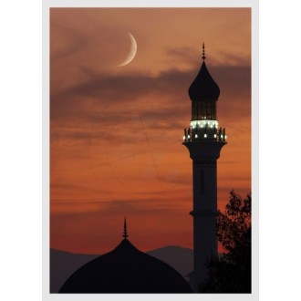 Moonlight over the mosque