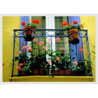 Balkonfenster mit Blumenkästen