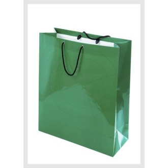 grüne Einkaufstüte