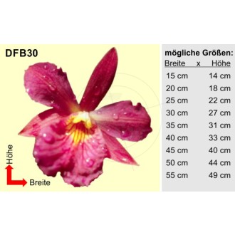 Aufkleber Orchidee mit Tautropfen