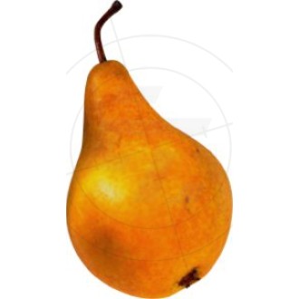 Stickers single pear