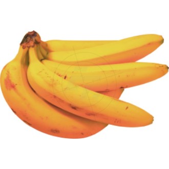 Aufkleber Bananen