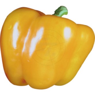 Aufkleber gelber Paprika