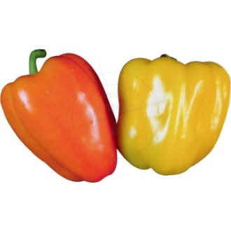 Stickers orange and yellow peppers