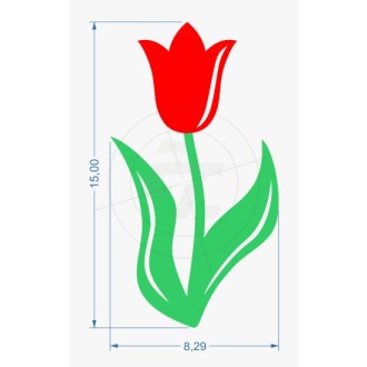 tulip with stem