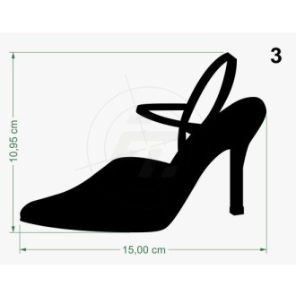 Schuhe, Damenschuhe, elegante Tanzschuhe